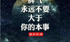 两块钱转让一个屏保。想要的直接发红包，马上到货